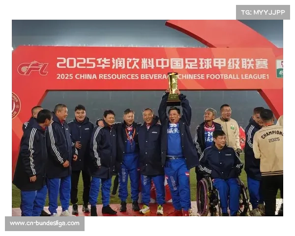 辽宁铁人中甲夺冠历程：从降级到升级的逆袭